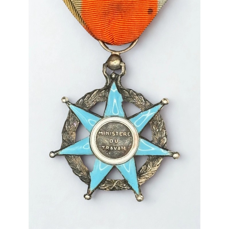 Ordre du Mérite social