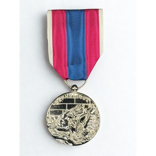 Médaille de la Défense Nationale - Argent