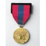Médaille de la Défense Nationale - Bronze