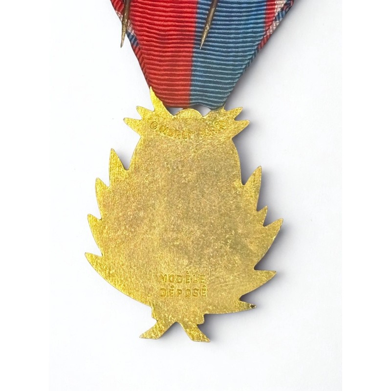 Médaille de la confédération musicale de France