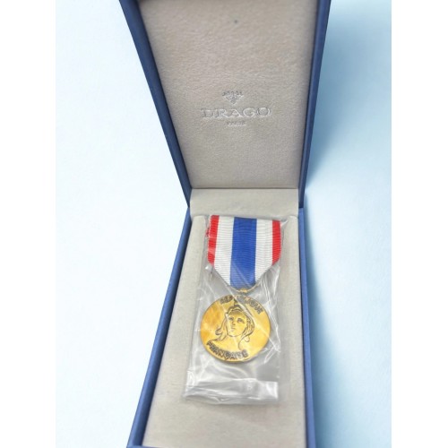 Médaille de la protection militaire du territoire - Drago 2