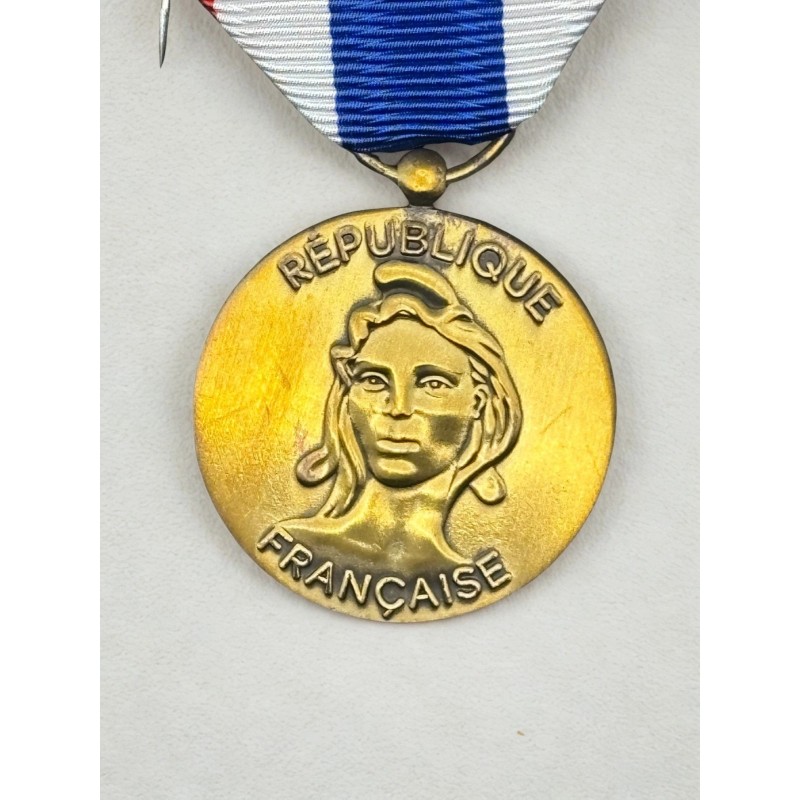 Médaille de la protection militaire du territoire - Drago