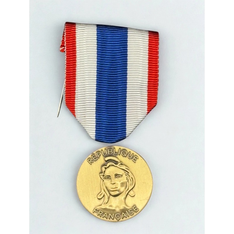 Médaille de la protection militaire du territoire - Drago