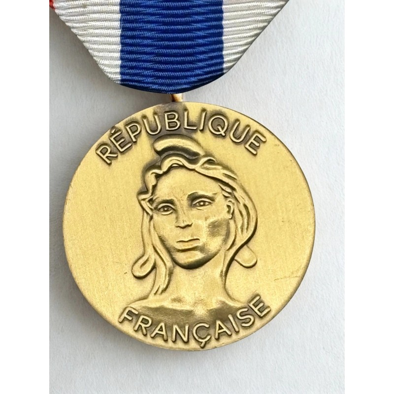 Médaille de la protection militaire du territoire - Drago