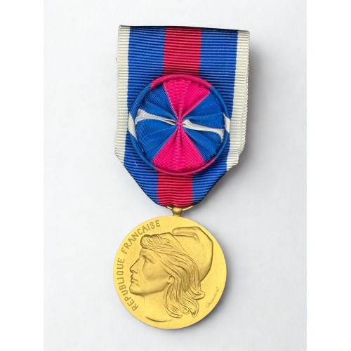 Médaille des services militaires volontaires - Or- Drago 2