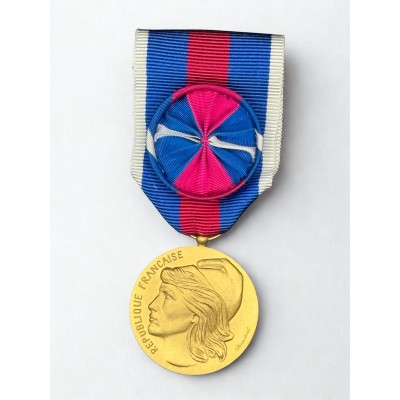 Médaille des services militaires volontaires - Or- Drago
