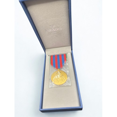 Médaille commémorative française - Drago 2