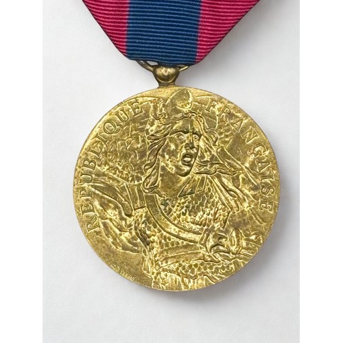 Médaille de la Défense Nationale - Bronze - Agrafe Artillerie 2